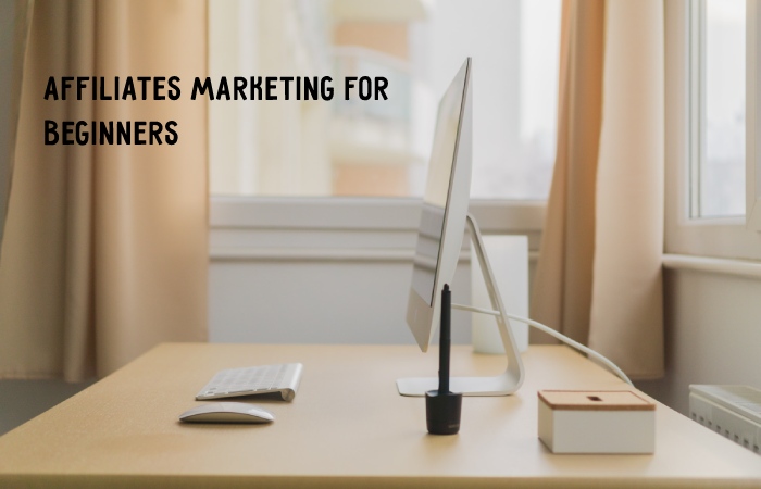 Affiliates Marketing For Beginners- Investment, Risk, And more