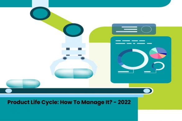 Product Life Cycle_ How To Manage It_ - 2022