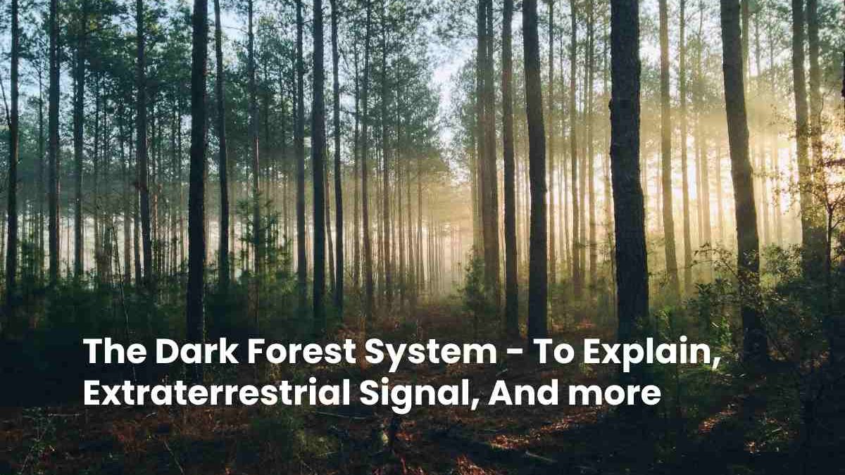 The Dark Forest System – To Explain, Extraterrestrial Signal, And more