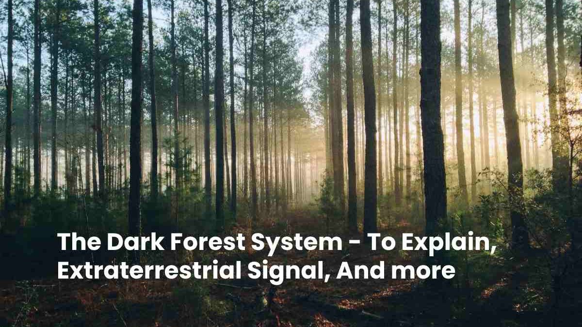 The Dark Forest System – To Explain, Extraterrestrial Signal, and more