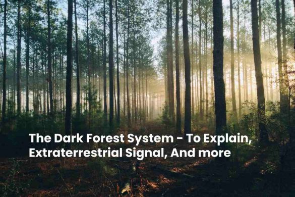 The Dark Forest System - To Explain, Extraterrestrial Signal, And more