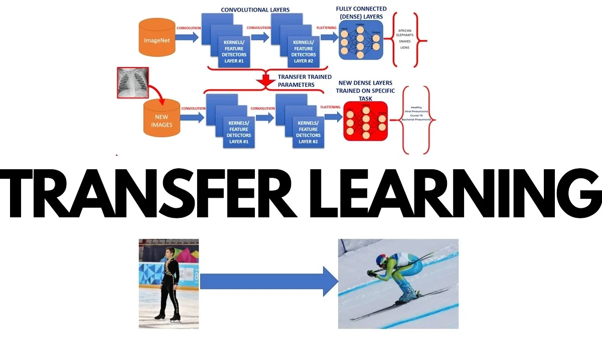 What is Transfer Learning and How Prepares It Work?