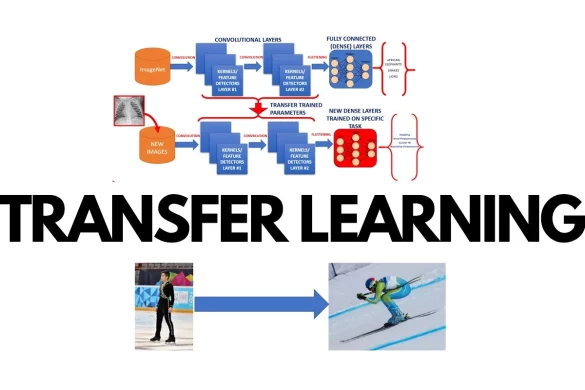 Transfer Learning