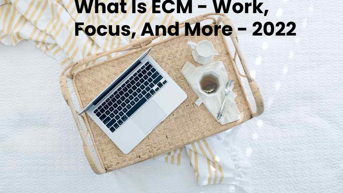 What Is ECM – Work, Focus, And More