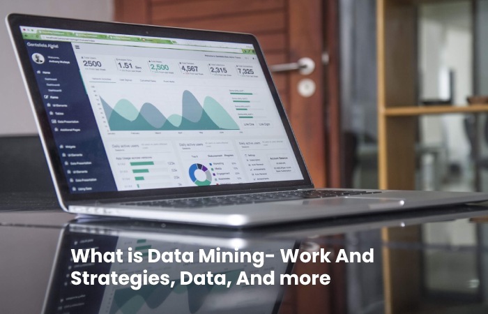 What is Data Mining- Work And Strategies, Data, And more -2022