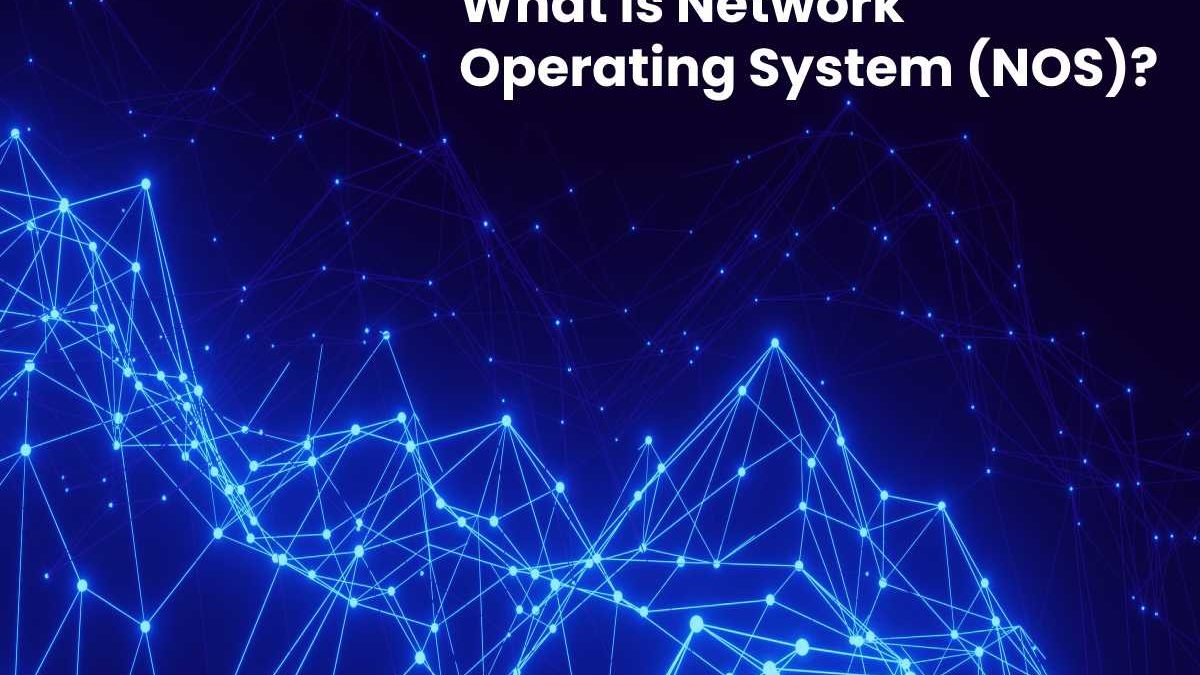 What is Network Operating System (NOS)?