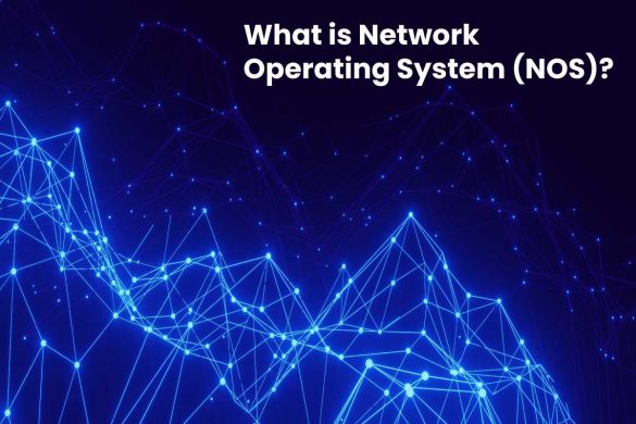 What is Network Operating System (NOS)