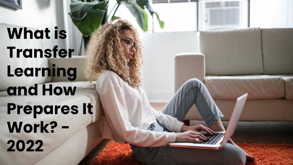 What is Transfer Learning and How Prepares It Work?