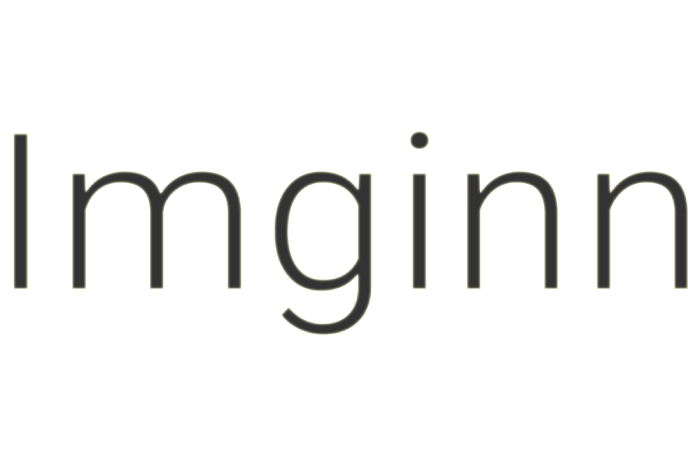 How to Use Imginn?