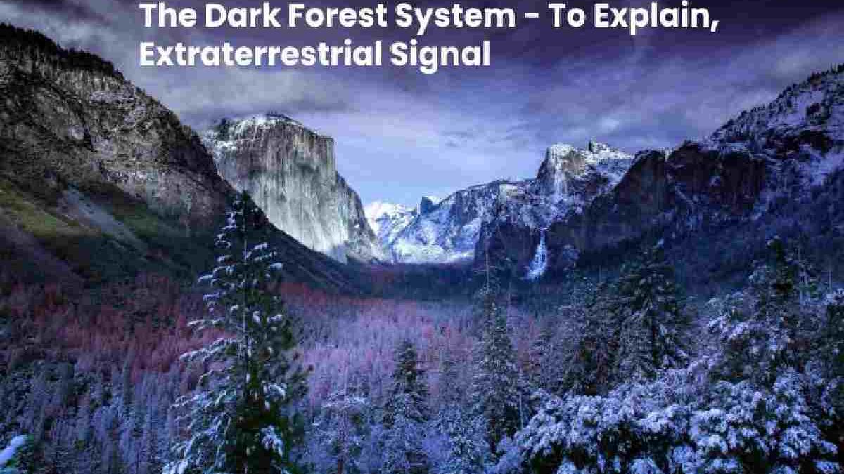 The Dark Forest System – To Explain, Extraterrestrial Signal, and more