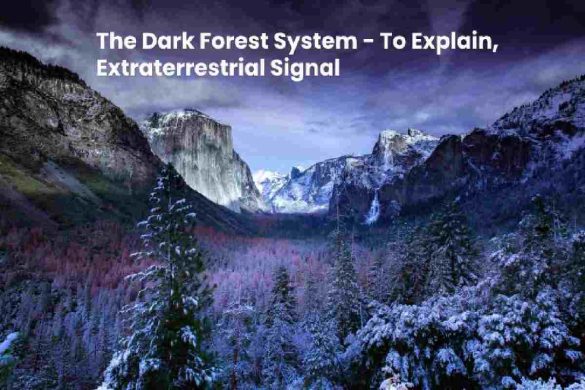 The Dark Forest System - To Explain, Extraterrestrial Signal, and more