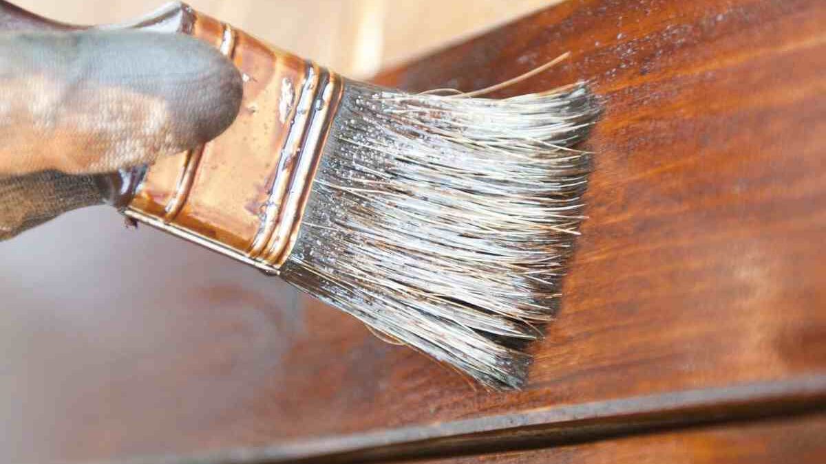 Varnish: Introduction To Varnish, Key Features, And more