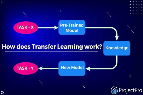 What is Transfer Learning and How Prepares It Work_