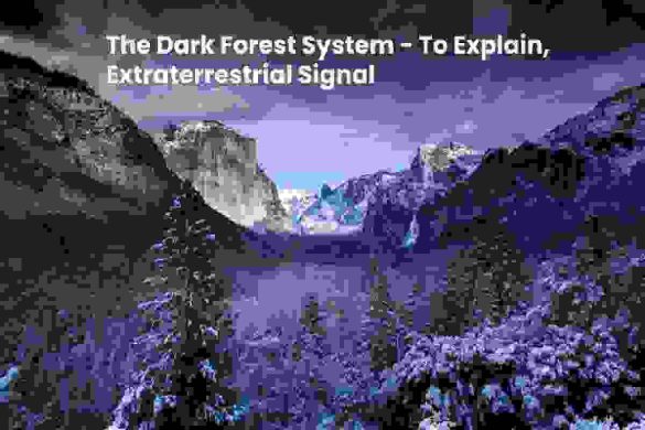 The Dark Forest System